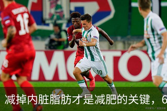 减掉内脏脂肪才是减肥的关键，6个方法让体脂率轻松掉10%！
